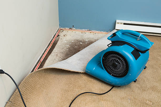 Best Flood damage cleanup  in Hinton, OK